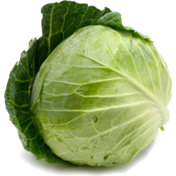 Photo of Cabbage - Green