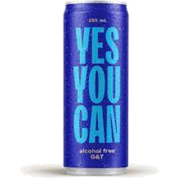 Photo of Yes You Can Al/Fre G&T 250ml