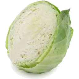 Photo of Cabbage Half