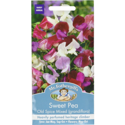 Photo of Mr Fothergill’s Sweet Pea Old Spice
