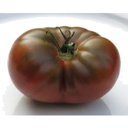 Photo of Tomato Ortello