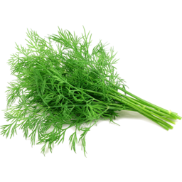Photo of Dill