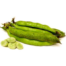 Photo of Broad Beans Kg