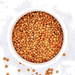 Photo of Red Lentil Whole