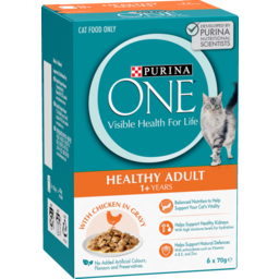 Photo of Purina One Adult Chicken Mp 6g