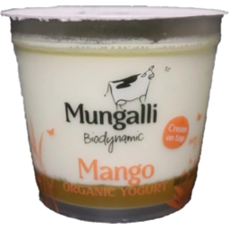 Photo of Mungalli Creek Mango Yoghurt