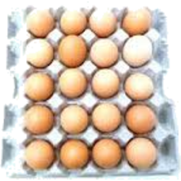 Photo of Fresh Eggs Mix