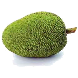 Photo of Green Jackfruit