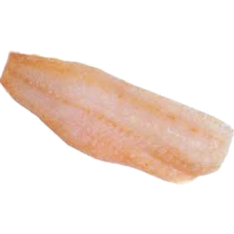 Photo of Fresh Deep Sea Perch Fillet