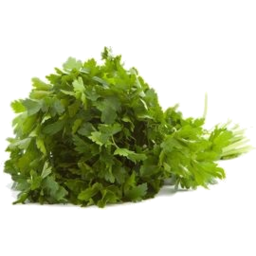 Photo of Herbs Parsley Cont Each