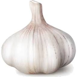Photo of Garlic Bulb Each