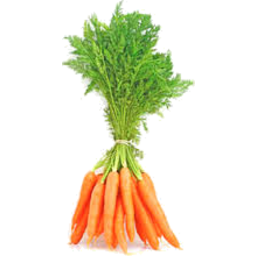 Photo of Carrots Dutch/Spring