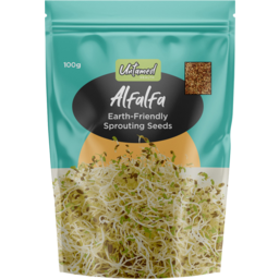 Photo of UNTAMED HEALTH Alfalfa Sprouting Seeds 100g