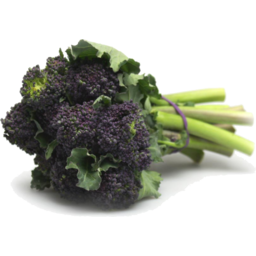 Photo of Broccolini (Purple)