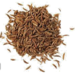 Photo of Carraway Seed