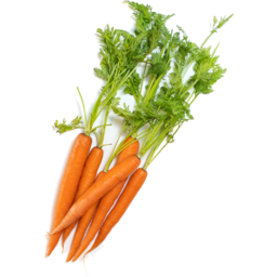 Photo of Carrots Baby