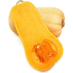 Photo of Pumpkin Butternut Half