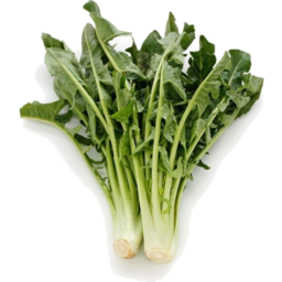 Photo of Herbs - Chicory