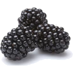 Photo of Berries Blackberries 150g