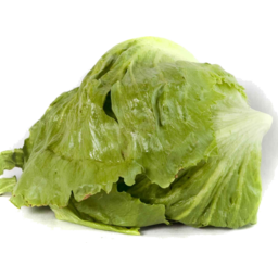 Photo of Lettuce - Iceberg