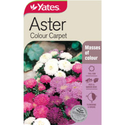 Photo of Seeds Col/Carpet Aster 
