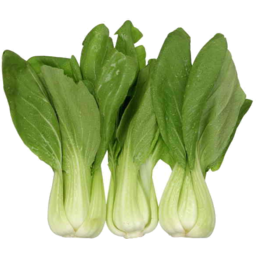 Photo of Asian Greens