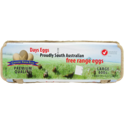Photo of Country Fresh Free Range Eggs Large 12 Pack