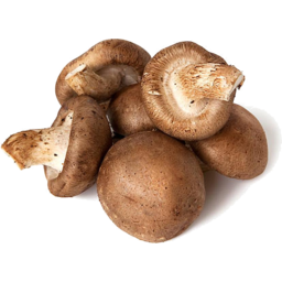 Photo of Mushrooms Shiitake Punnet 100gm