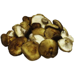 Photo of Mushrooms Shiitake 