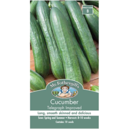 Photo of Mrs Fothergill's Seeds Cucumber Long Green S/Mrkt B