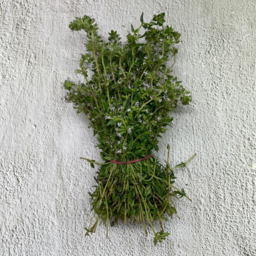 Photo of Thyme Bunch