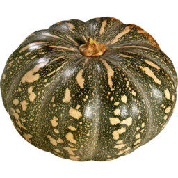 Photo of Pumpkin Crown Each - Mg