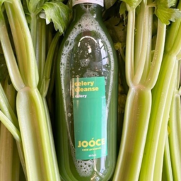 Photo of The Big One Celery Cleanse