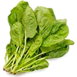Photo of Org English Spinach Bunch