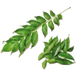 Photo of Fresh Herbs Curry Leaves 10gm