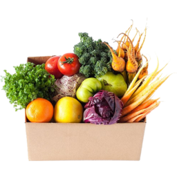 Photo of Organic Fruit & Veg Singles Box $30