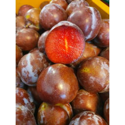 Photo of Plums Ruby Blood