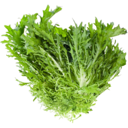 Photo of Lettuce Endive
