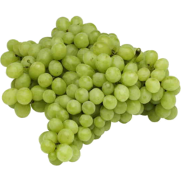 Photo of Grapes Menindee kg