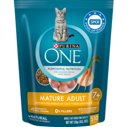 Photo of Purina One Dry Cat Food Senior