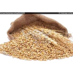 Photo of Wheat - Feed Grain - Bulk