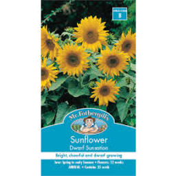 Photo of Mr Fothergills Seeds Sunflower Dwarf Sunsation