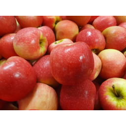 Photo of Apples Pink Lady- Small