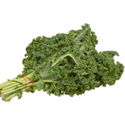 Photo of Kale - Curly Green