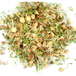 Photo of YORKTOWN Mixed Sprouts Microgreens Salad 40g