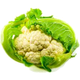 Photo of Cauliflower Half Aust