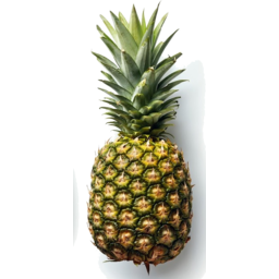 Photo of Organic Pineapple 