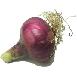 Photo of Red Salad Onions Each
