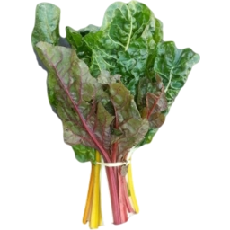 Photo of Org Silverbeet Chard Bunch