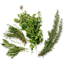 Photo of Herbs Bunched